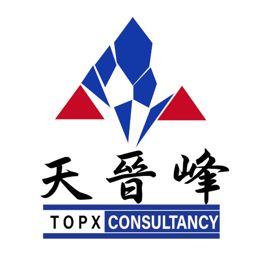 Topx Consultancy Limited